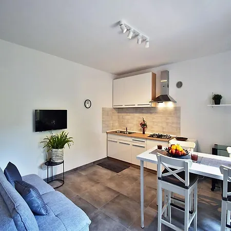 House In With Private Pool And Fažana