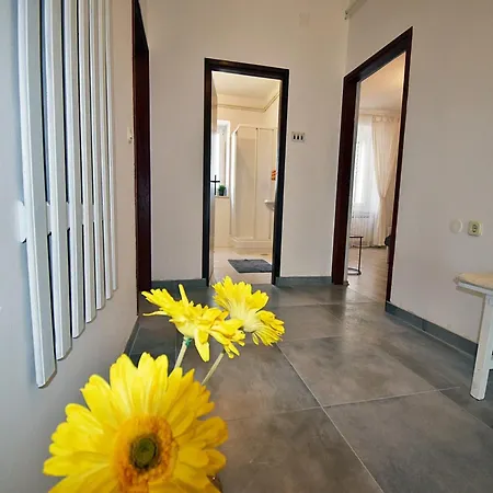 House In With Private Pool And * Fažana