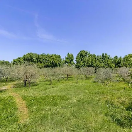 House In With Private Pool And Appartement Fažana