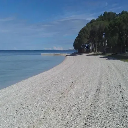 Appartement House In With Private Pool And Fažana